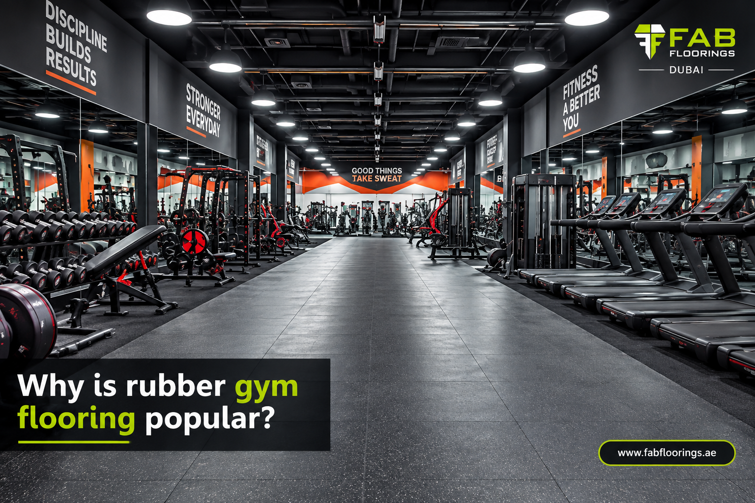 Why Is Rubber Gym Flooring So Popular? Benefits, Types & Buying Guide